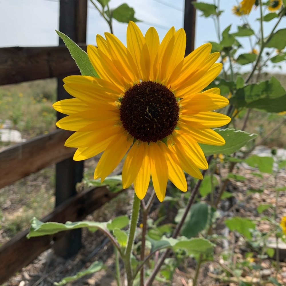 Meet your Posher, Posh